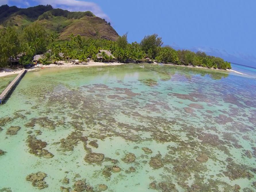 Hotel Les Tipaniers Moorea Exterior photo